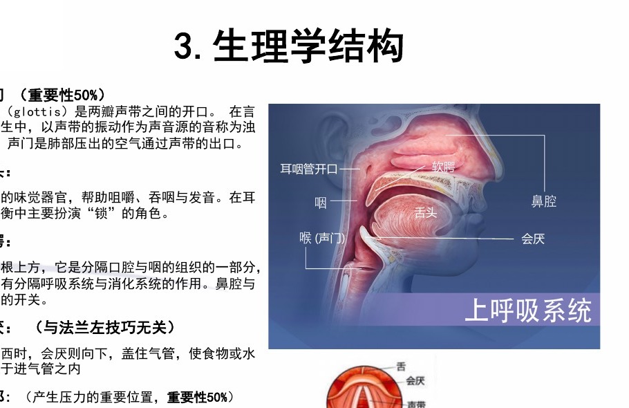 耳咽管生理结构图