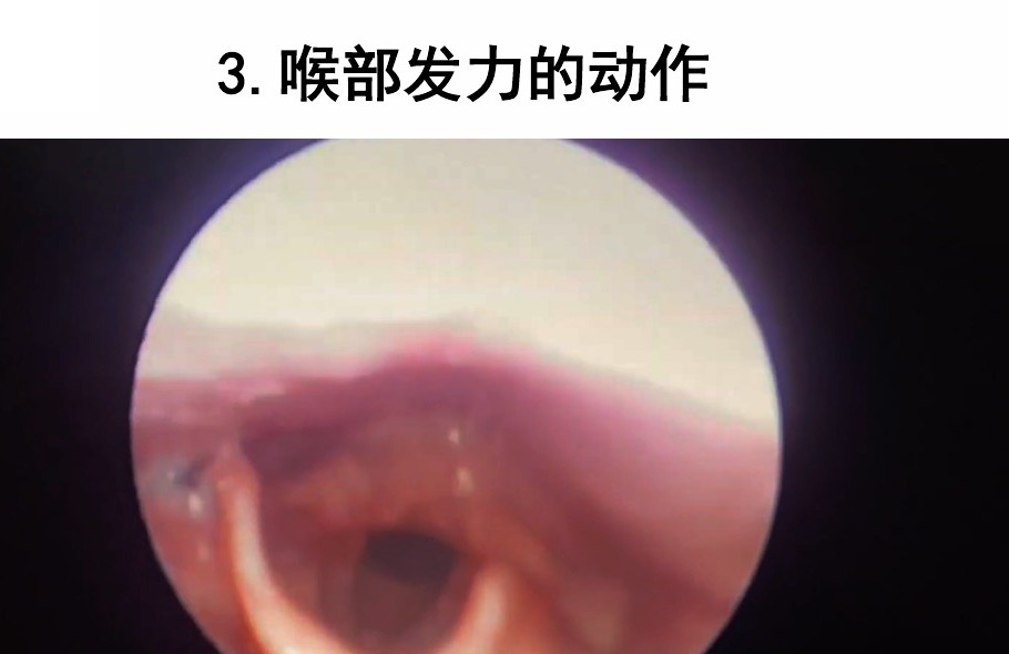 喉部发力动作图